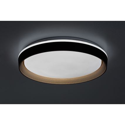 Rabalux - Iluminação de teto LED com regulação LED/48W/230V 3000-6500K + comando