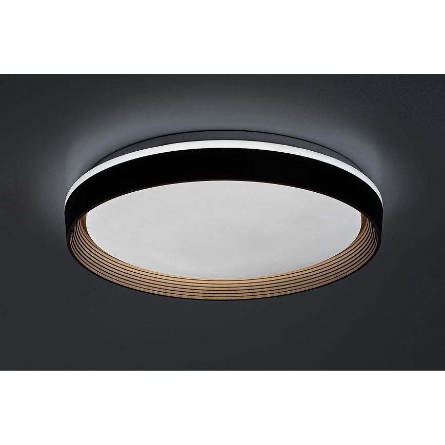 Rabalux - Iluminação de teto LED com regulação LED/48W/230V 3000-6500K + comando