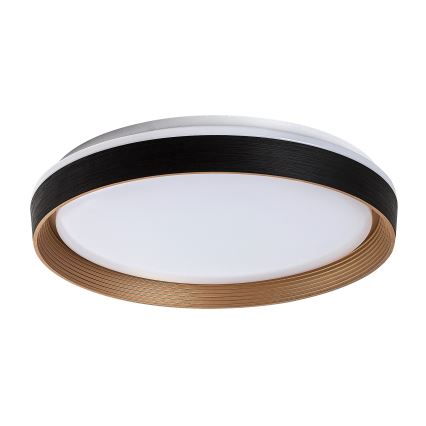 Rabalux - Iluminação de teto LED com regulação LED/48W/230V 3000-6500K + comando