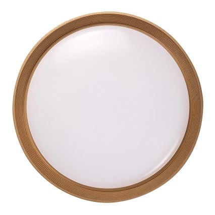 Rabalux - Iluminação de teto LED com regulação LED/48W/230V 3000-6500K + comando