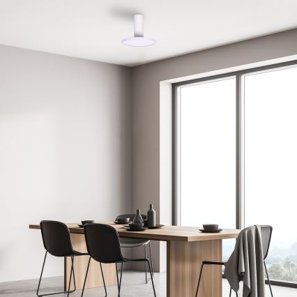 Rabalux - Candeeiro de tecto LED/20W/230V 3000K branco Ø 20 cm