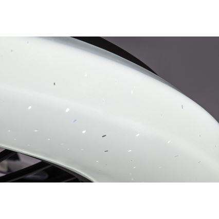 Rabalux - Luminária de teto LED regulável com ventilador LED/48W/230V 3000-6500K + controlo remoto