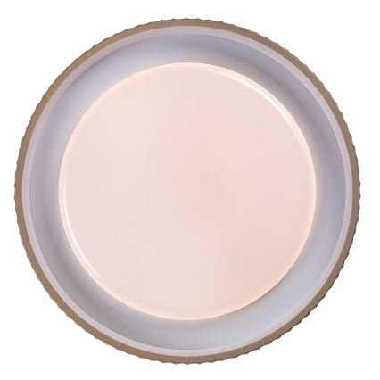 Rabalux - Luminária de teto LED regulável LED/48W/230V 3000-6500K diâmetro 49,5 cm + controlo remoto