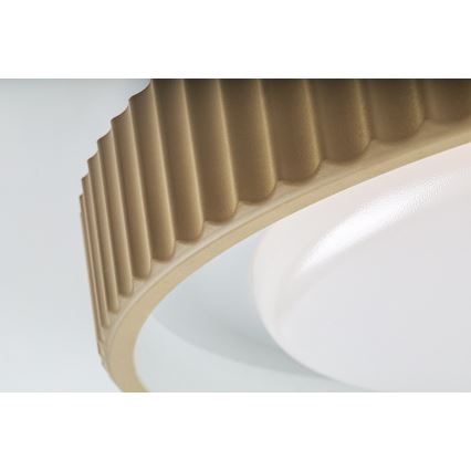 Rabalux - Luminária de teto LED regulável LED/48W/230V 3000-6500K diâmetro 49,5 cm + controlo remoto