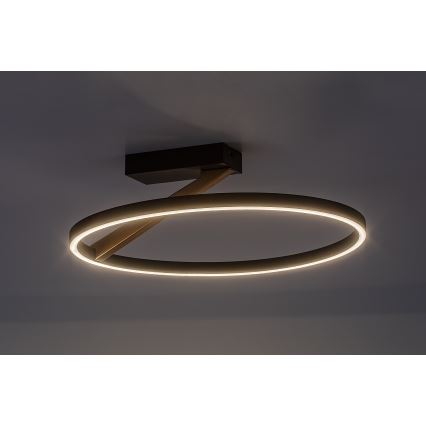 Rabalux - Candeeiro de tecto LED 24W/230V 3000K Ø 45 cm
