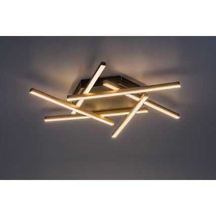 Rabalux - Candeeiro  integrado LED LED/40W/230V 3000K