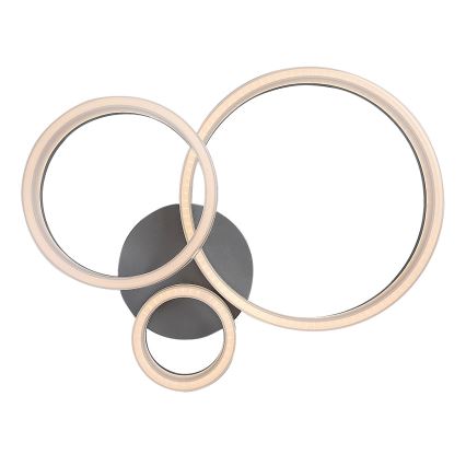 Rabalux - LED Candeeiro de tecto LED/24W/230V 3000/4000/6500K 38x51 cm cromo fosco