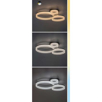 Rabalux - Iluminação de teto LED LED/24W/230V 3000/4000/6500K dourado 38x51 cm