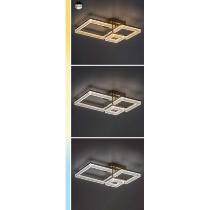 Rabalux - Iluminação de teto LED LED/22W/230V 3000/4000/6500K preto 47x47 cm