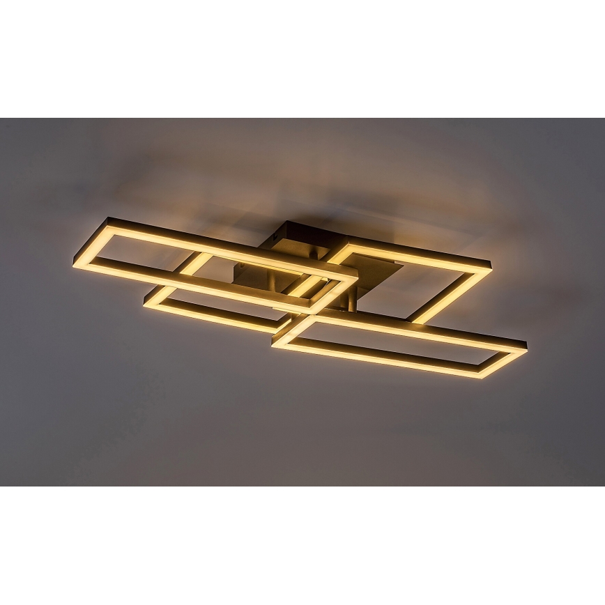 Rabalux - Luminária de teto LED dimerizável LED/40W/230V 3000-6500K 35x70 cm + controlo remoto
