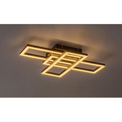 Rabalux - Candeeiro de teto LED dimerizável LED/40W/230V 3000-6500K + controlo remoto 35x50 cm