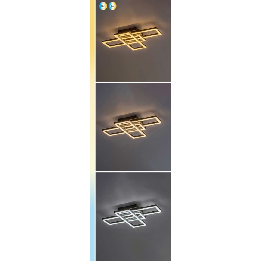 Rabalux - Candeeiro de teto LED dimerizável LED/40W/230V 3000-6500K + controlo remoto 35x50 cm