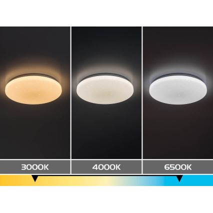 Rabalux - Candeeiro de tecto LED dimerizável LED/12W/230V 3000-6500K Ø 26 cm + controlo remoto