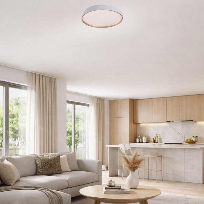 Rabalux - Luminária de teto LED regulável LED/34W/230V 3000-6500K diâmetro 38 cm + controlo remoto