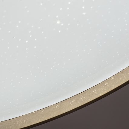 Rabalux - Luminária de teto LED regulável LED/34W/230V 3000-6500K diâmetro 38 cm + controlo remoto