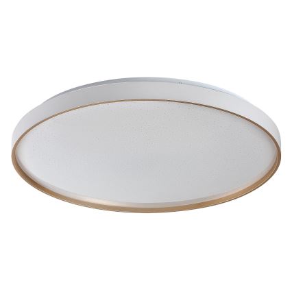 Rabalux - Candeeiro de teto LED dimerizável LED/60W/230V 3000-6500K Ø 58 cm + controlo remoto