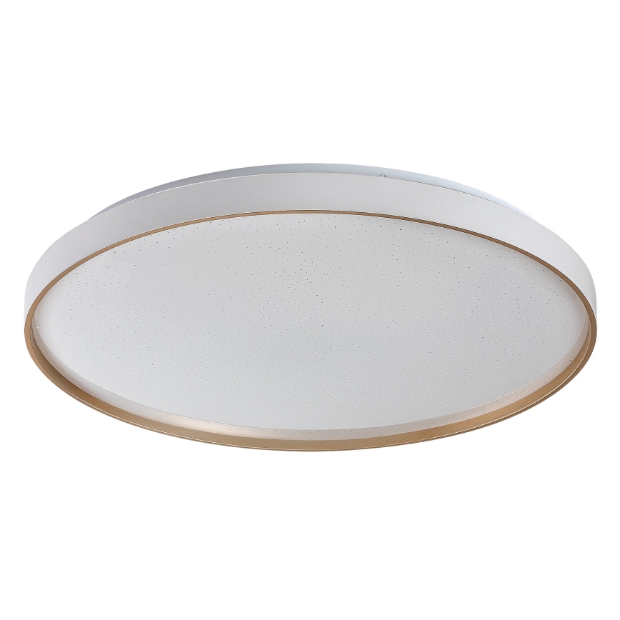 Rabalux - Candeeiro de teto LED dimerizável LED/60W/230V 3000-6500K Ø 58 cm + controlo remoto