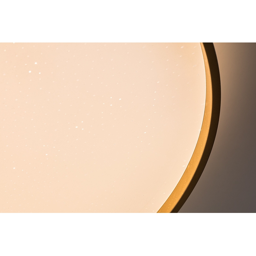 Rabalux - Luminária de teto LED regulável LED/80W/230V 3000-6500K diâmetro 77 cm + controlo remoto