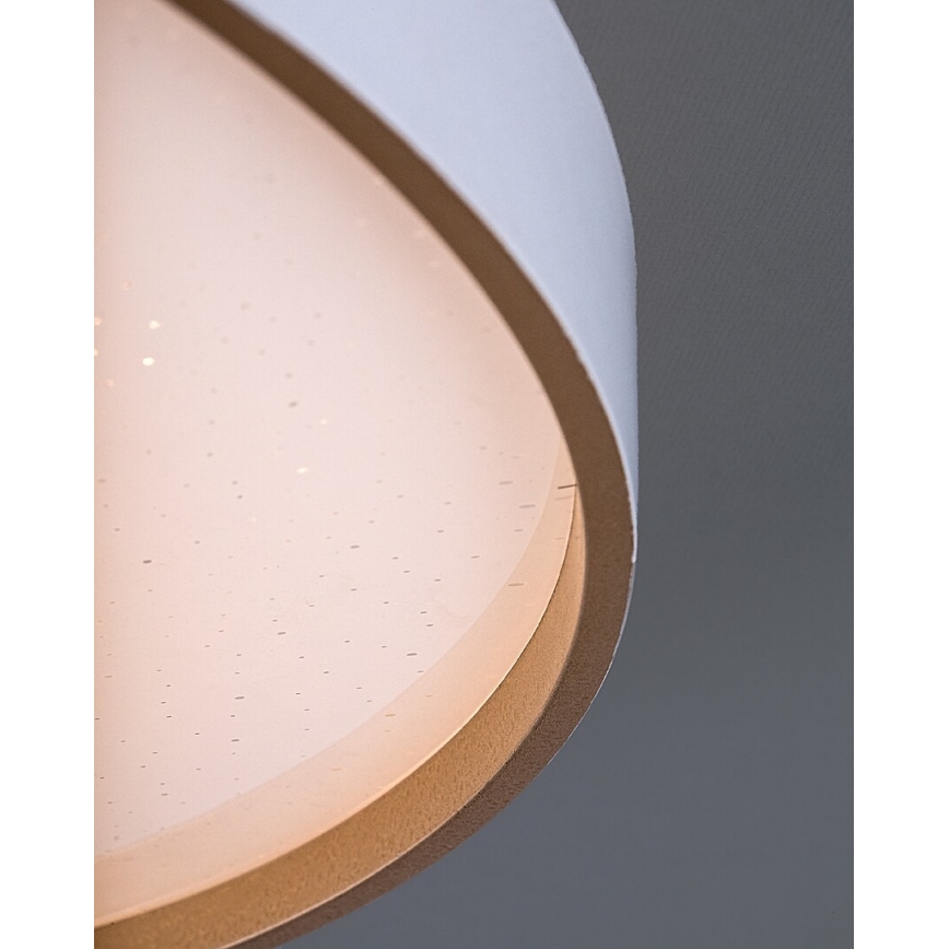 Rabalux - Luminária de teto LED regulável LED/80W/230V 3000-6500K diâmetro 77 cm + controlo remoto