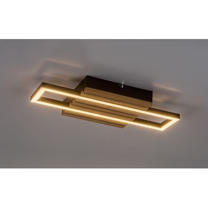 Rabalux - Candeeiro de tecto LED 12W/230V 3000/4500/6000K