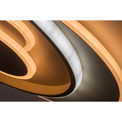 Rabalux - Candeeiro de teto LED regulável LED/57W/230V 3000-6000K 48,5x40 cm + controlo remoto