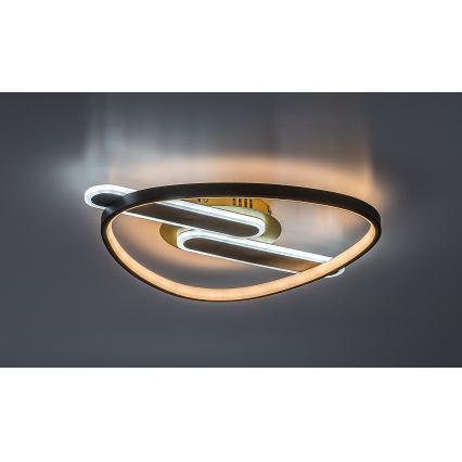Rabalux - Luminária de teto LED regulável LED/60W/230V 3000-6000K 53x45 cm + comando remoto
