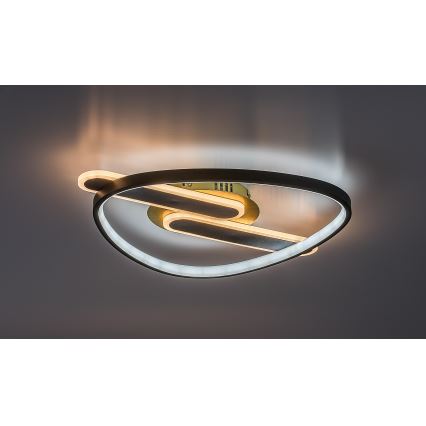 Rabalux - Luminária de teto LED regulável LED/60W/230V 3000-6000K 53x45 cm + comando remoto
