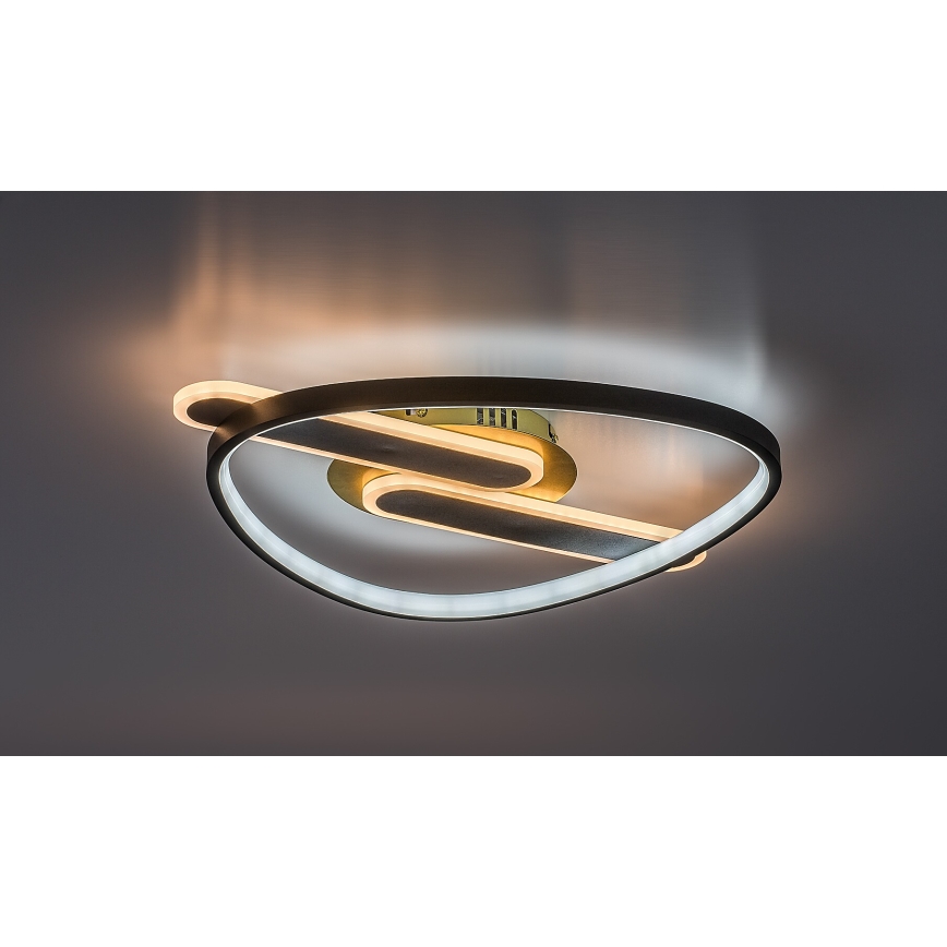 Rabalux - Luminária de teto LED regulável LED/60W/230V 3000-6000K 53x45 cm + comando remoto
