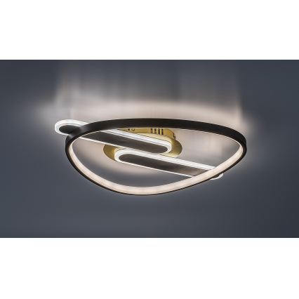 Rabalux - Luminária de teto LED regulável LED/60W/230V 3000-6000K 53x45 cm + comando remoto