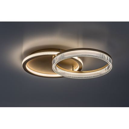 Rabalux - Candeeiro de teto LED dimável LED/22W/230V 3000-6500K 53,5x35 cm + comando remoto