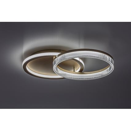 Rabalux - Candeeiro de teto LED dimável LED/22W/230V 3000-6500K 53,5x35 cm + comando remoto