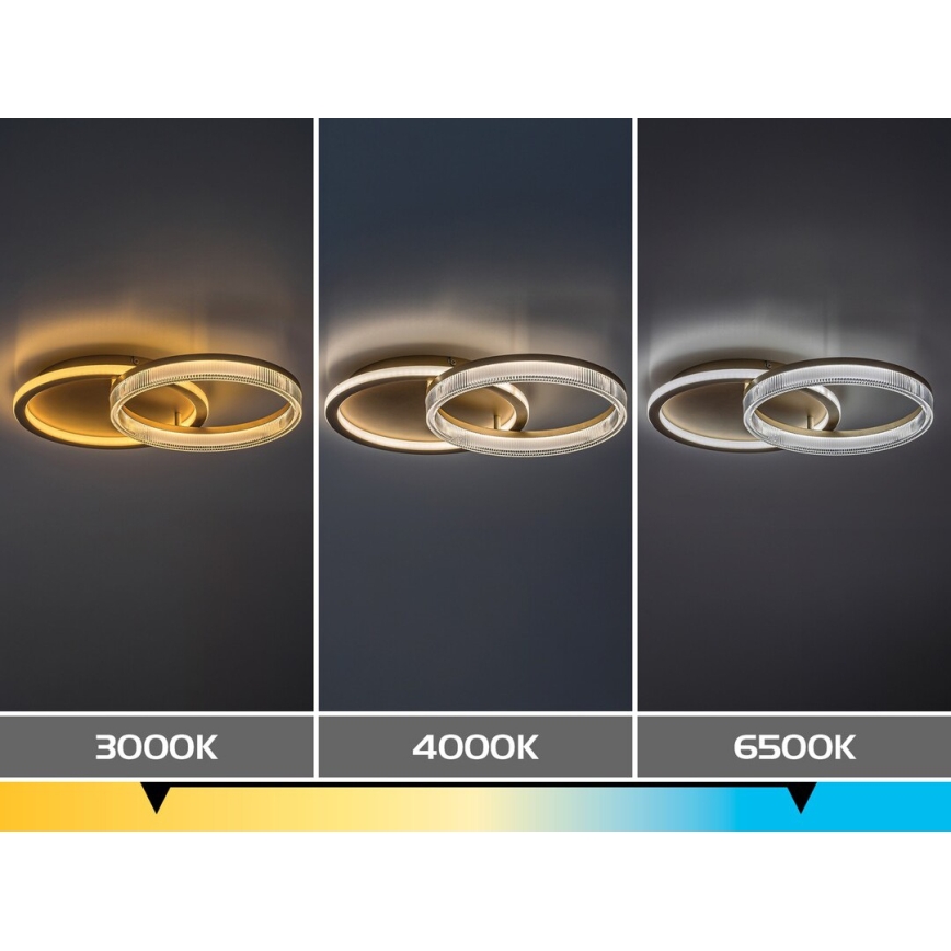 Rabalux - Candeeiro de teto LED dimável LED/22W/230V 3000-6500K 53,5x35 cm + comando remoto