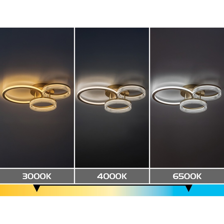 Rabalux - Candeeiro de tecto LED regulável LED/38W/230V 3000-6500K 58,5x38 cm + comando à distância