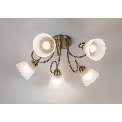 Rabalux - Candeeiro de tecto sobreposto 5xE27/60W/230V