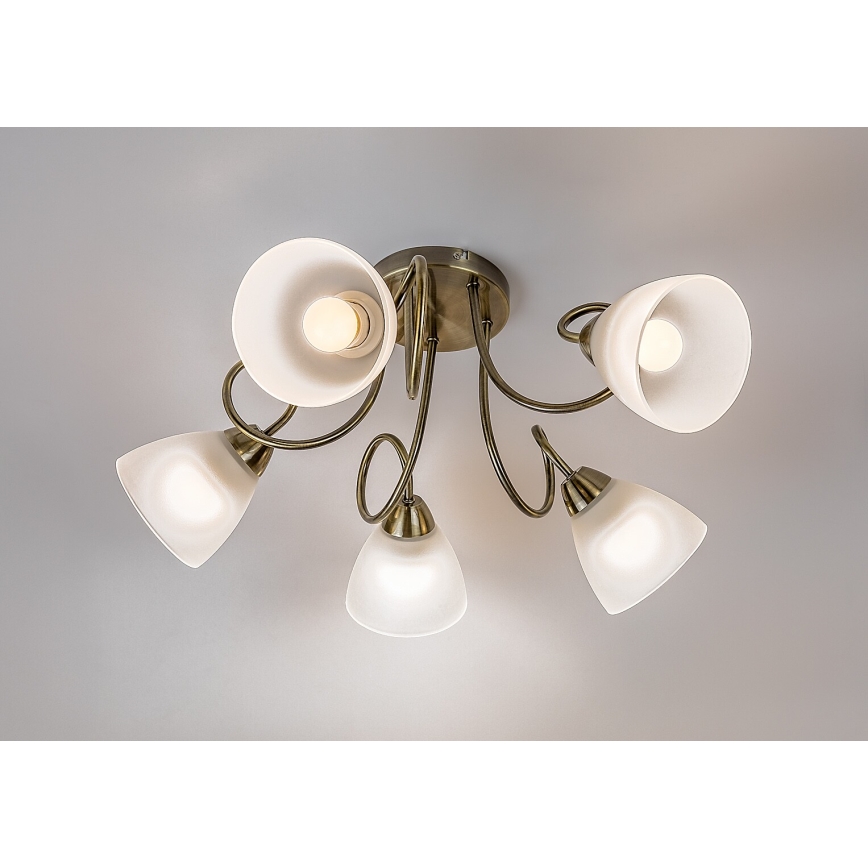 Rabalux - Candeeiro de tecto sobreposto 5xE27/60W/230V