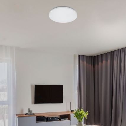 Rabalux - Candeeiro de tecto LED/12W/230V 4000K Ø 25,5 cm
