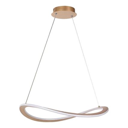Rabalux - Lustre LED suspenso em cabo LED/40W/230V 3000K
