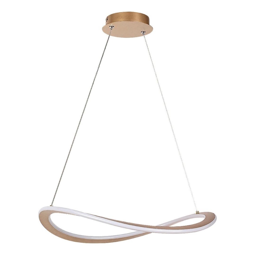 Rabalux - Lustre LED suspenso em cabo LED/40W/230V 3000K