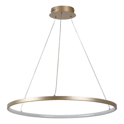 Rabalux - Lustre suspenso por cabo LED/55W/230V 3000K