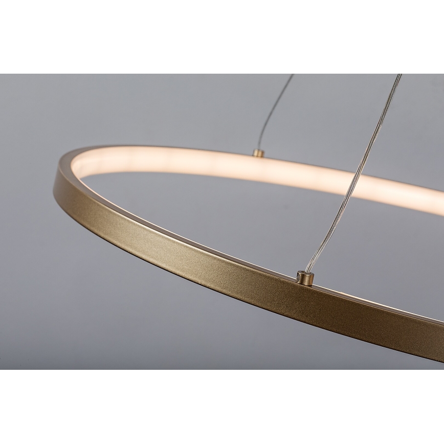 Rabalux - Lustre suspenso por cabo LED/55W/230V 3000K