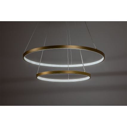 Rabalux - Lustre LED dimerizável suspenso por cabo LED/75W/230V 3000-6500K + controlo remoto