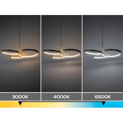 Rabalux - Lustre pendente LED regulável com cabo LED/50W/230V 3000-6500K + controlo remoto