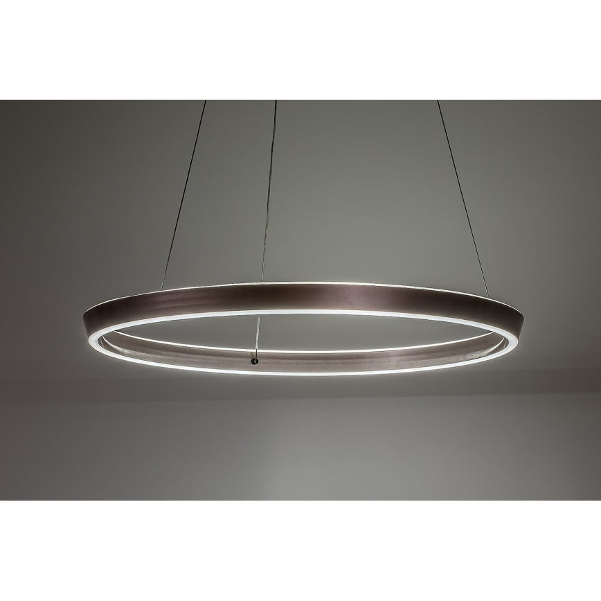 Rabalux - Lustre LED regulável suspenso por cabo LED/36W/230V 3000-6500K + controlo remoto