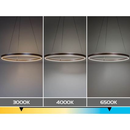 Rabalux - Lustre LED regulável suspenso por cabo LED/36W/230V 3000-6500K + controlo remoto