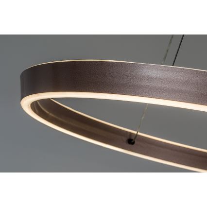 Rabalux - Lustre LED regulável suspenso por cabo LED/36W/230V 3000-6500K + controlo remoto