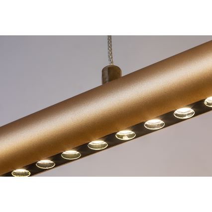 Rabalux - Lustre LED suspenso por cabo LED/24W/230V 3000K