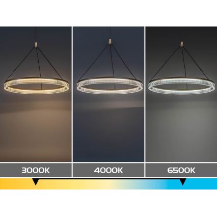 Rabalux - Lustre LED regulável suspenso por cabo LED/24W/230V 3000-6500K + comando remoto