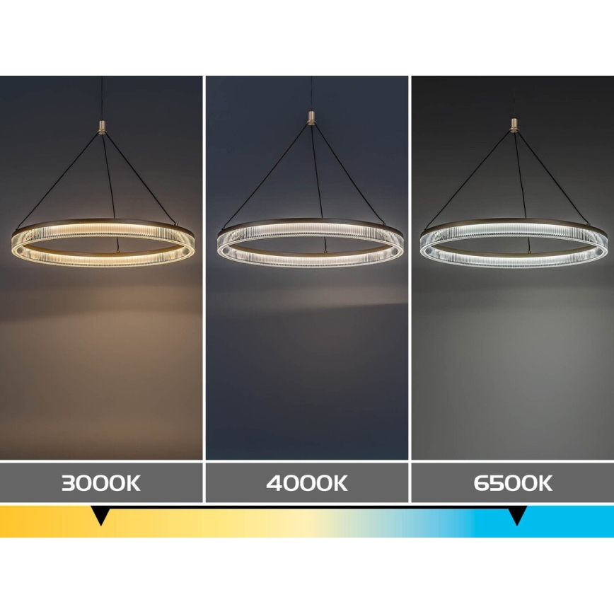 Rabalux - Lustre LED regulável suspenso por cabo LED/24W/230V 3000-6500K + comando remoto
