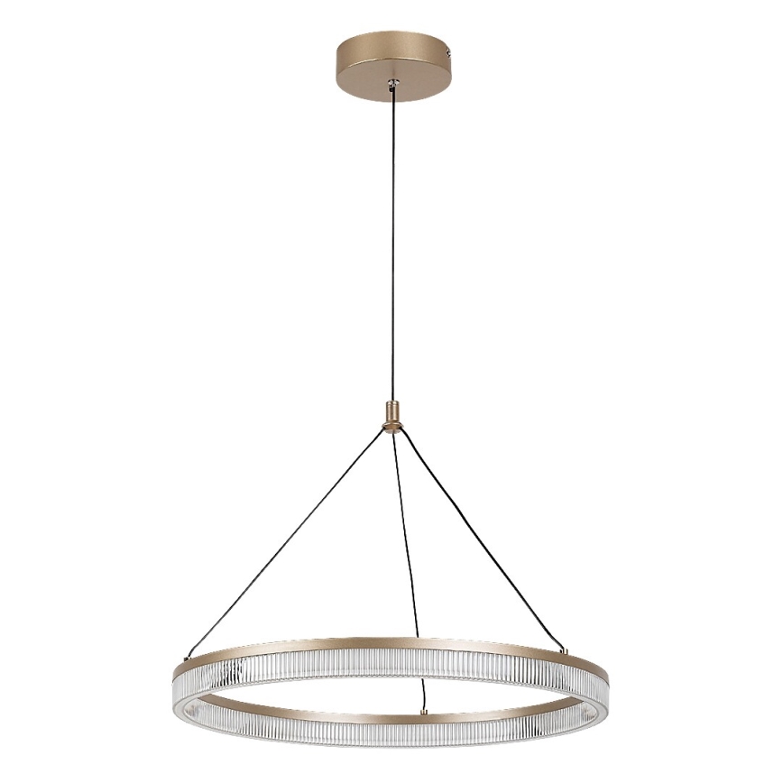 Rabalux - Lustre LED regulável suspenso por cabo LED/24W/230V 3000-6500K + comando remoto