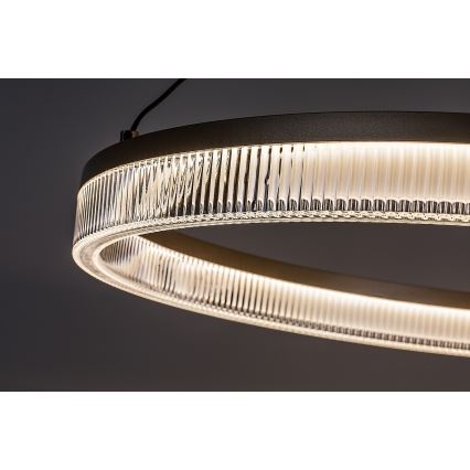 Rabalux - Lustre LED regulável suspenso por cabo LED/24W/230V 3000-6500K + comando remoto
